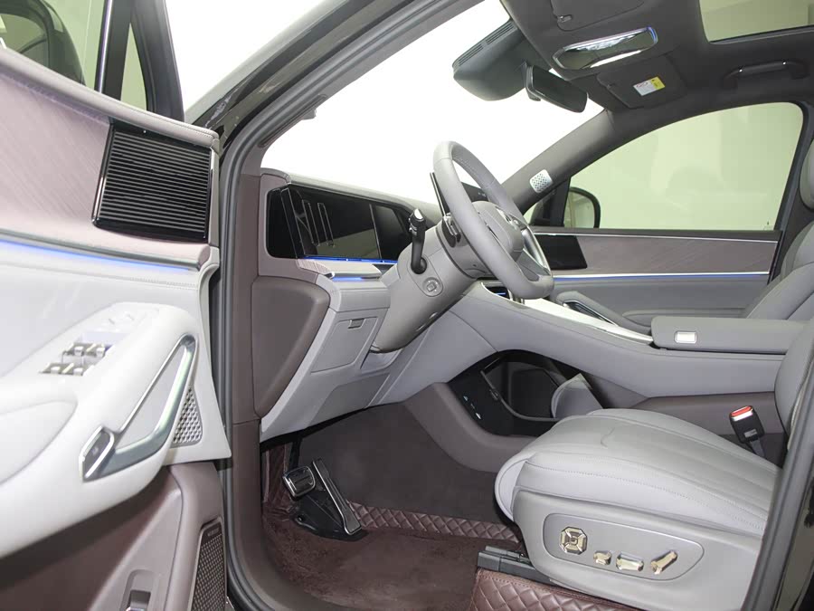 Denza N9 2025 car image #9