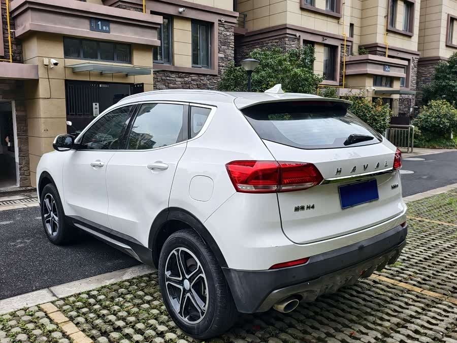 Haval H4 2020 #9 Haval H4 2020 car image #9