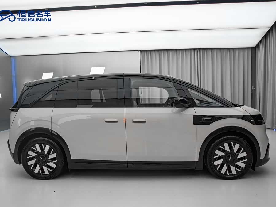 极氪 极氪MIX 2024 汽车图片 #9