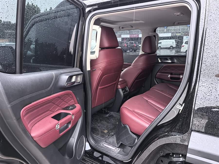 Tank 300 New Energy 2025 car image #9