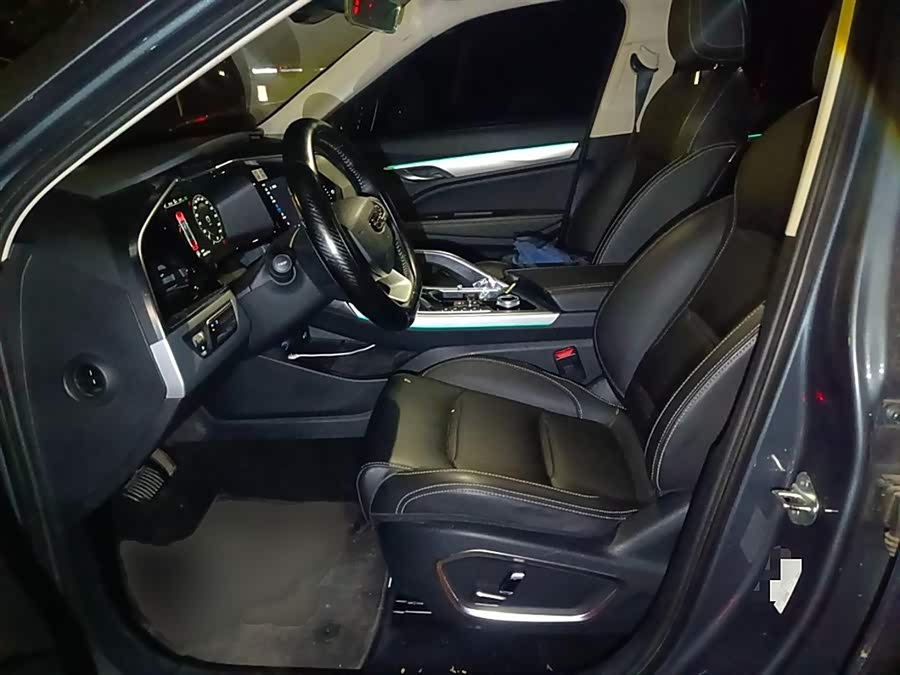 GEELY Tugella New Energy 2019 car image #9