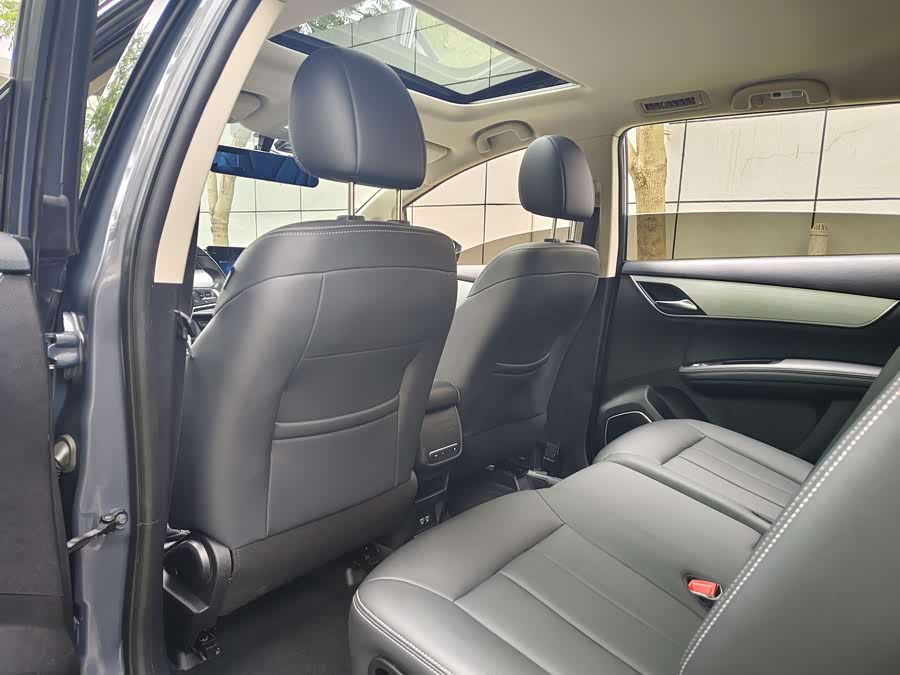 BYD Song MAX 2020 #9 BYD Song MAX 2020 car image #9