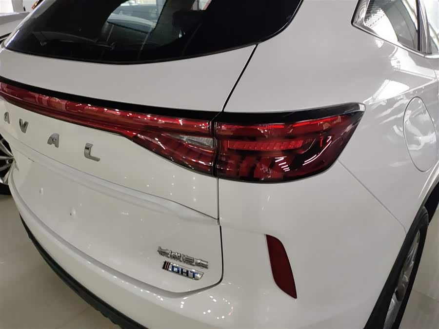 Haval H6 2025 immagine di auto #9