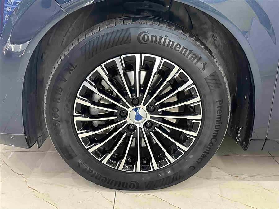 Denza D9 2023 imagem de carro #9