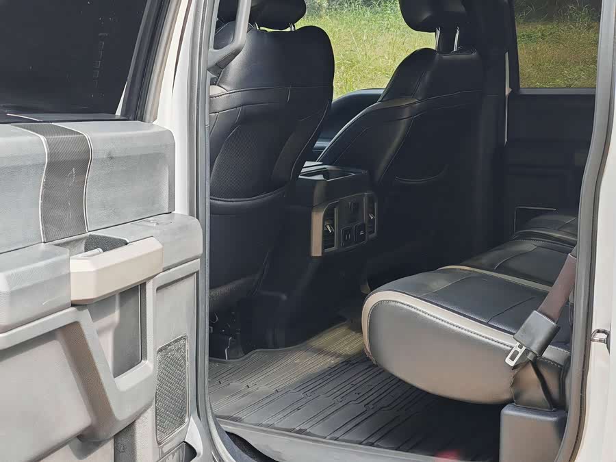 Ford F-150 Raptor 2018 car image #9