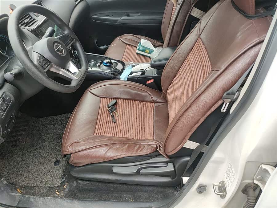 日产 轩逸·纯电 2019 汽车图片 #9