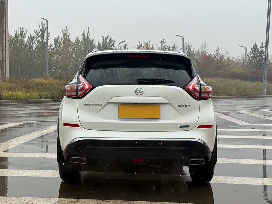 日产 楼兰 2016 汽车图片 #9