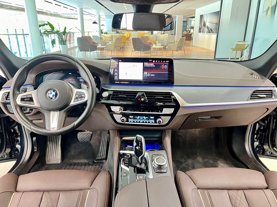 BMW 5 Series 2022 car image #9
