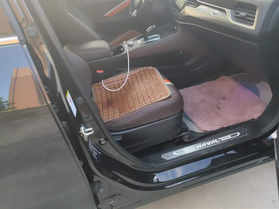 Haval F7x 2020 #9 Haval F7x 2020 car image #9