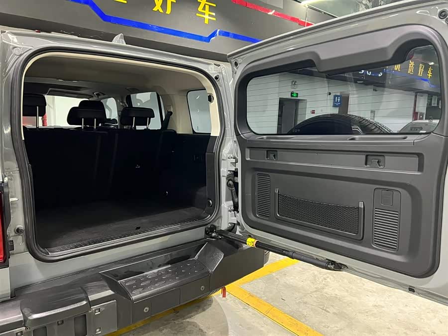 Tank 300 2021 car image #9