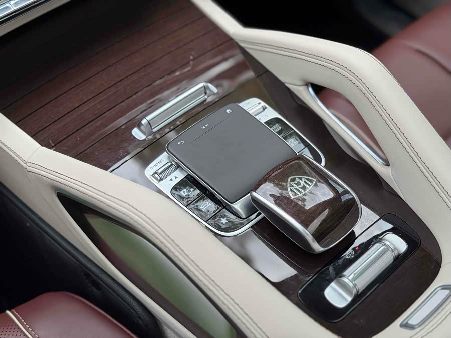 Mercedes-Benz Maybach GLS 2021 car image #9