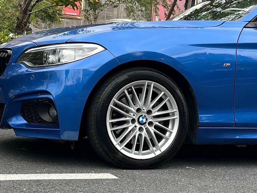 BMW 2 Series (Imported) 2016 car image #9