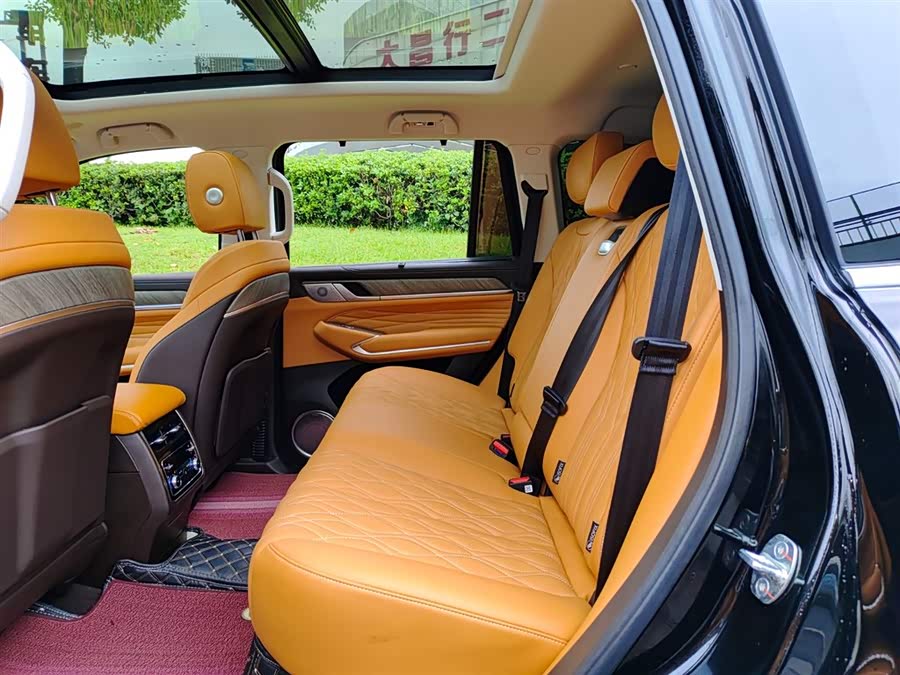 Tank 500 New Energy 2025 immagine di auto #9