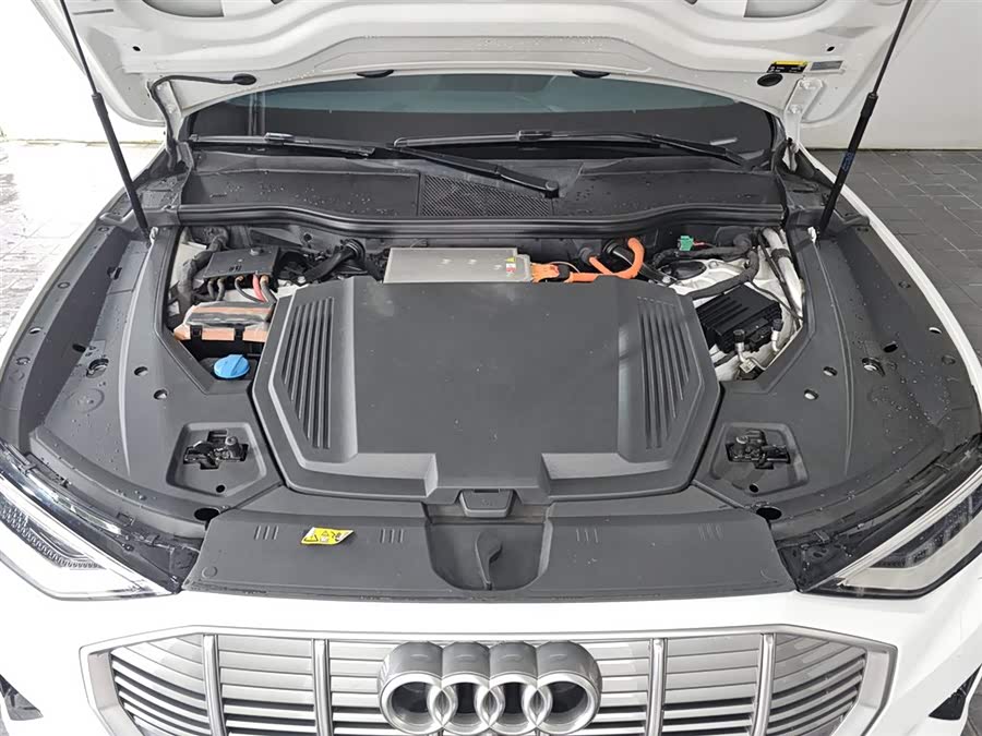 Audi e-tron (Imported) 2020 car image #9