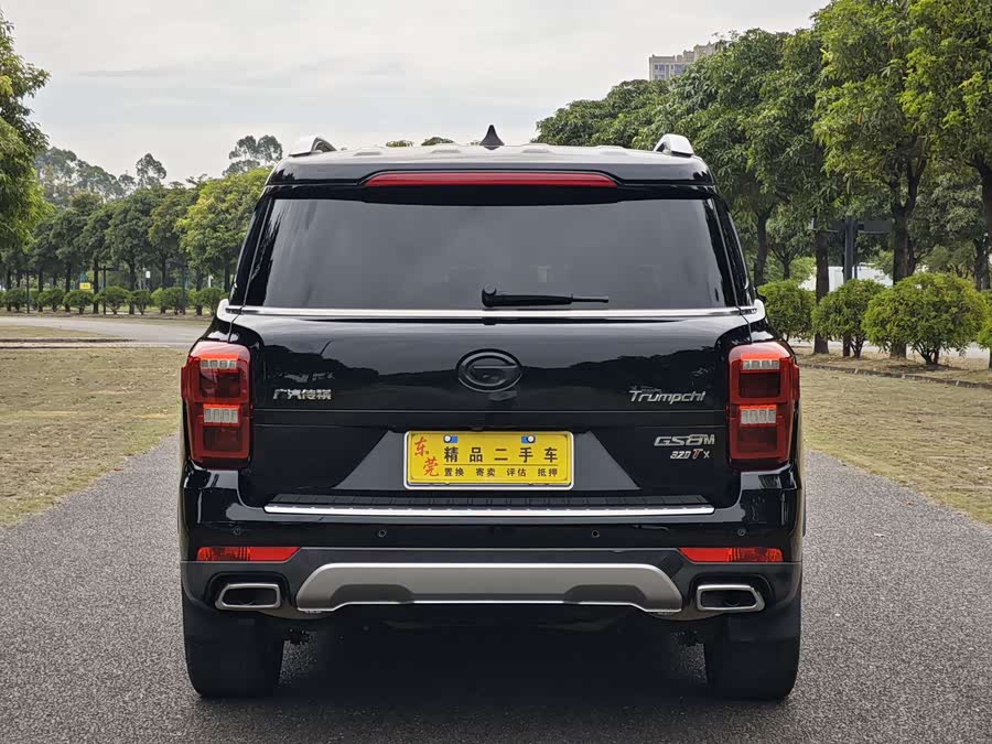 GAC Trumpchi GS8 2017 car image #9