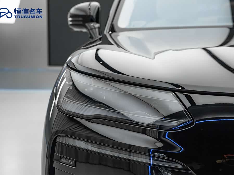 Denza N9 2025 car image #9