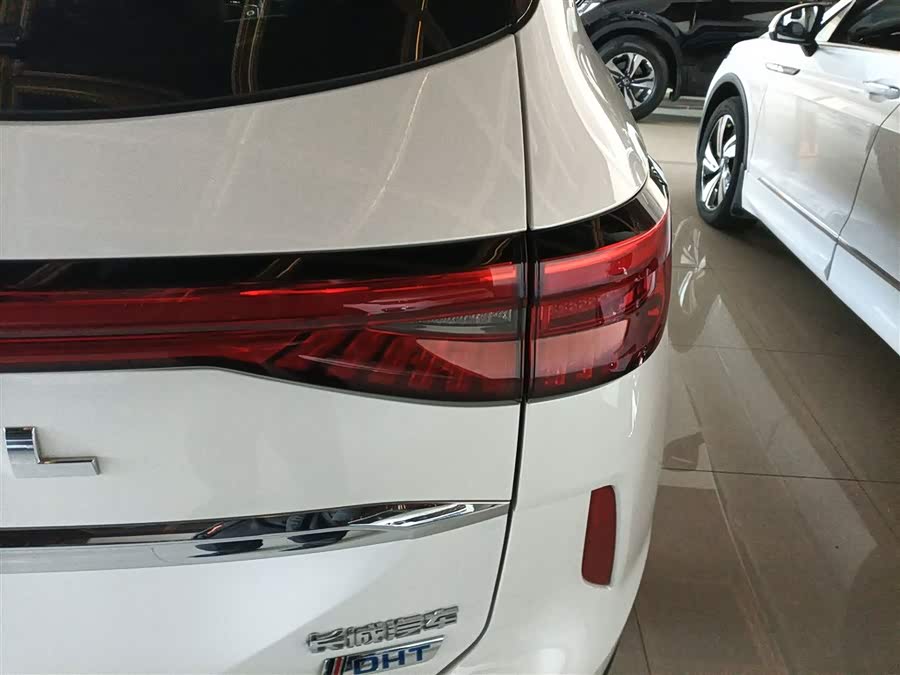 Haval H6 2022 #9 Haval H6 2022 изображение автомобиля #9