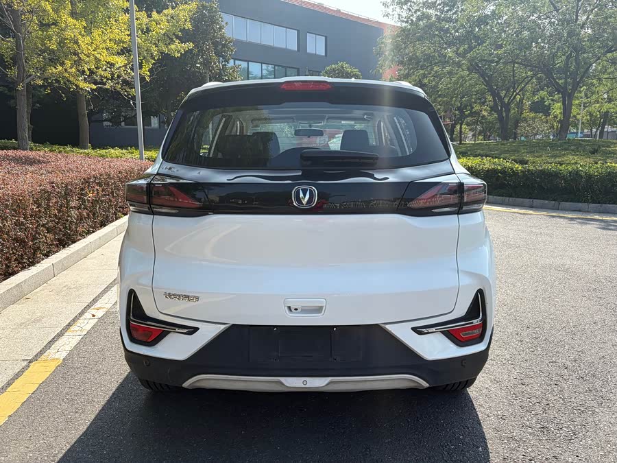 Changan E-Pro New Energy 2019 car image #9