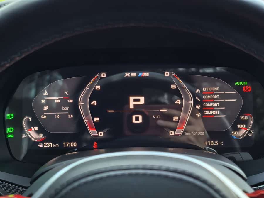 BMW X5 M 2022 car image #9