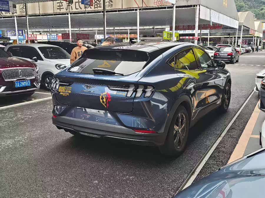 Ford Mustang Mach-E 2024 car image #9