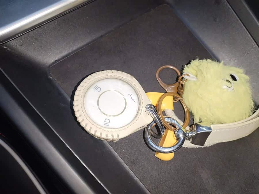 Neta X 2024 imagem de carro #9