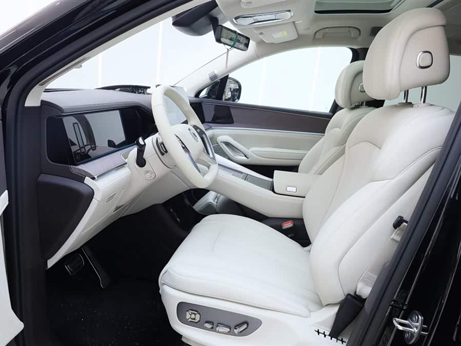 Denza N9 2025 car image #9