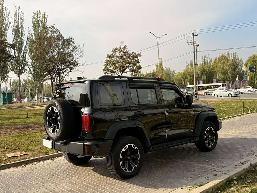 Tank 300 New Energy 2025 imagem de carro #9