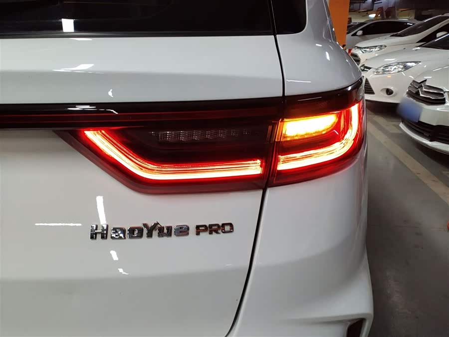 GEELY OkavangoPRO 2024 immagine di auto #9