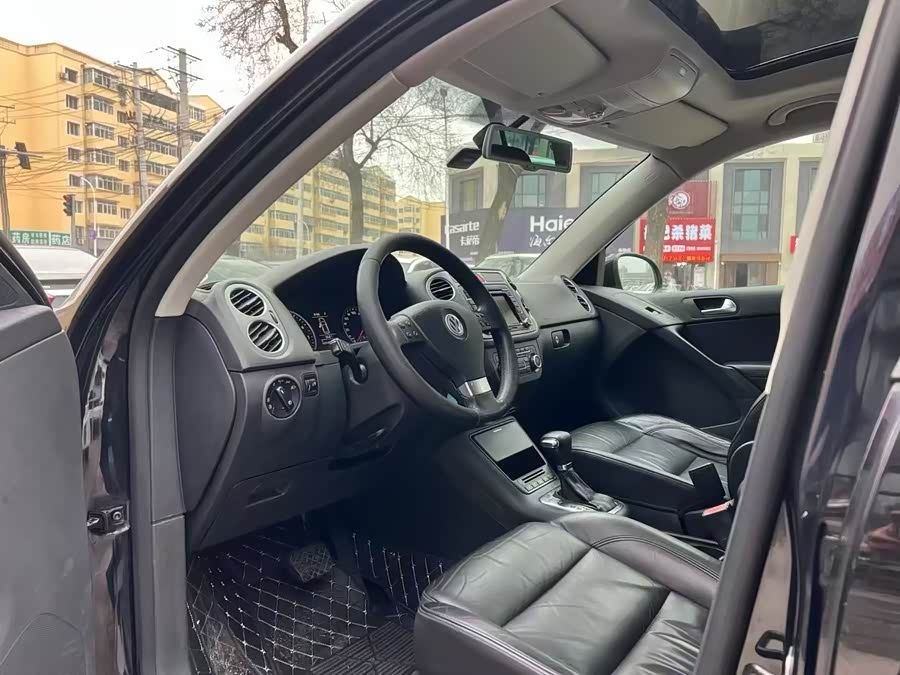 大众 Tiguan 2010 汽车图片 #9