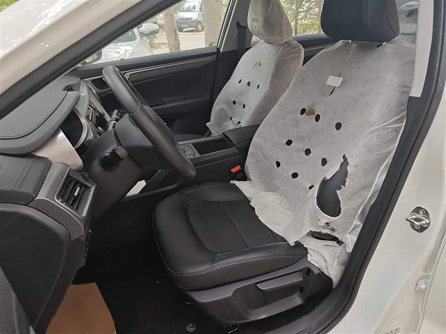 睿蓝汽车 枫叶60s 2023 汽车图片 #9