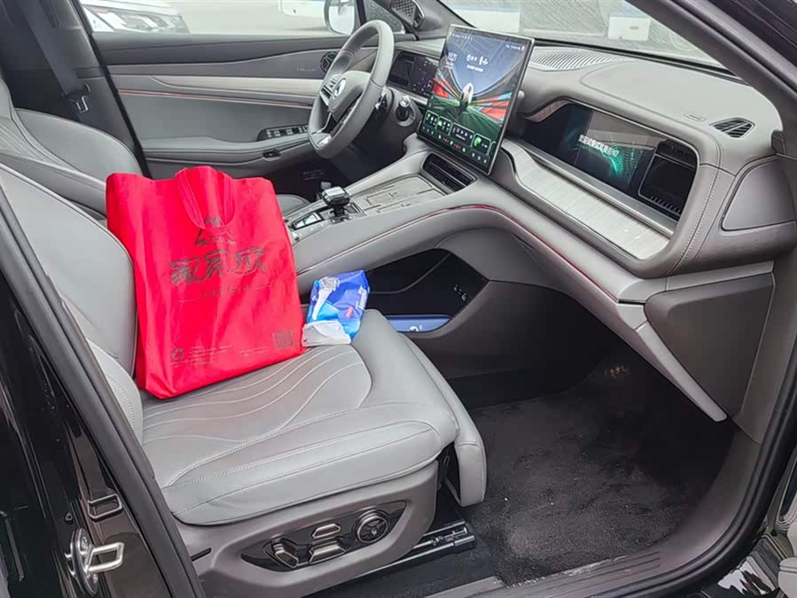 Denza N7 2023 car image #9