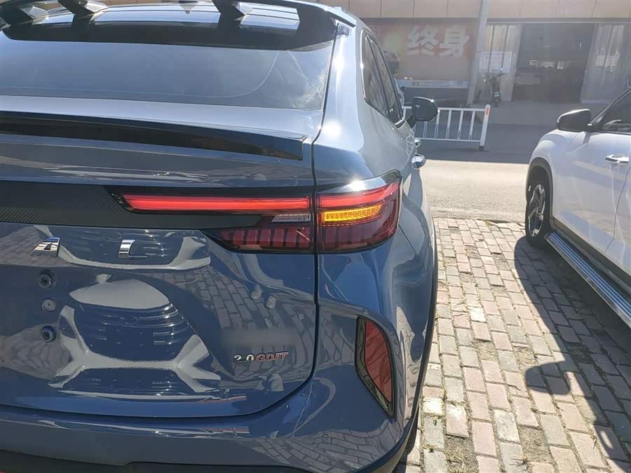 Haval H6S 2022 immagine di auto #9