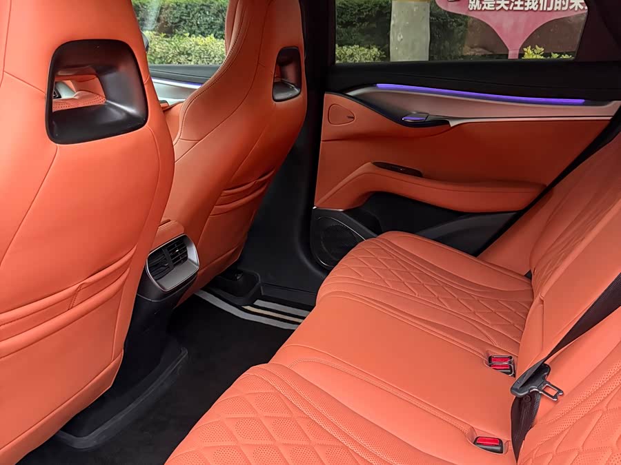 BYD Sea Lion 07 EV 2025 car image #9