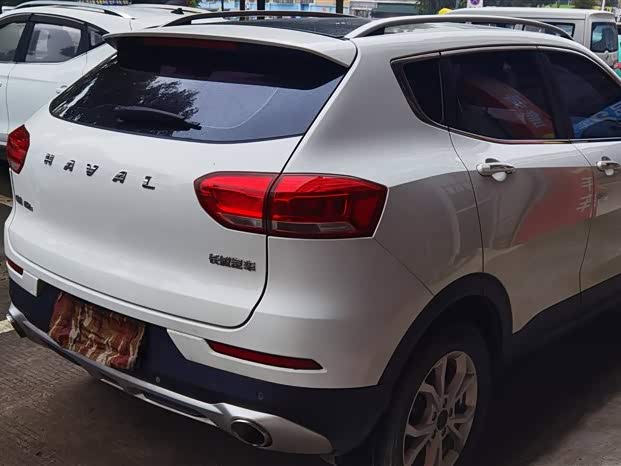Haval H2s 2019 imagem de carro #9