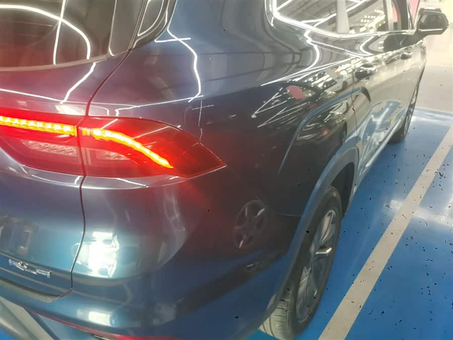 睿蓝汽车 睿蓝9 2024 汽车图片 #9