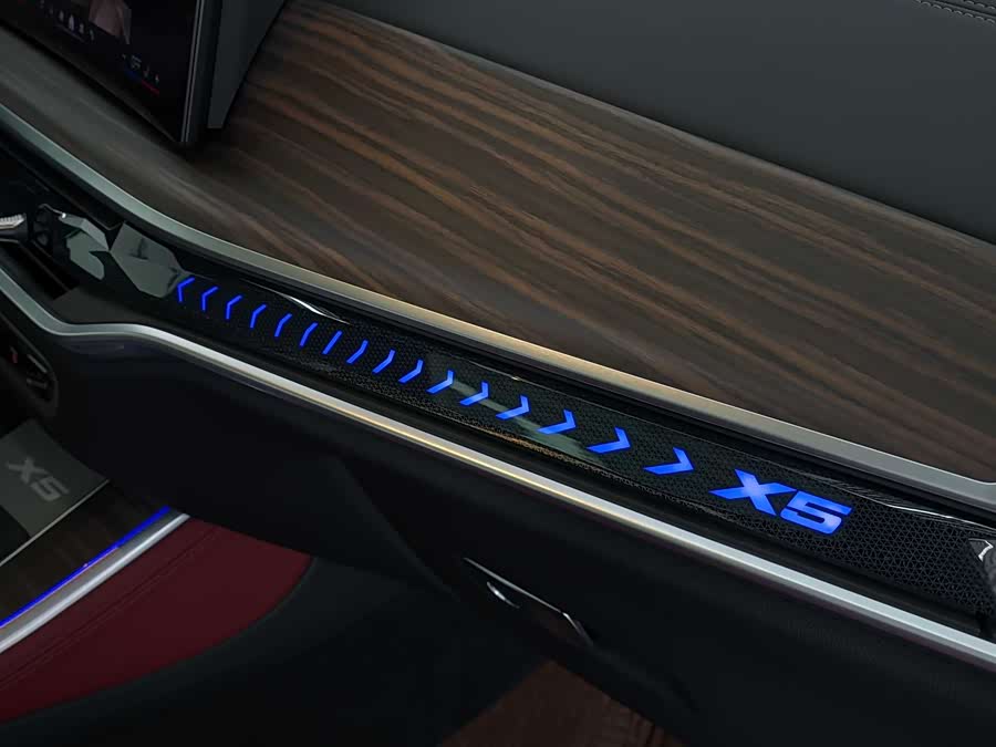 BMW X5 2025 imagen de coche #9