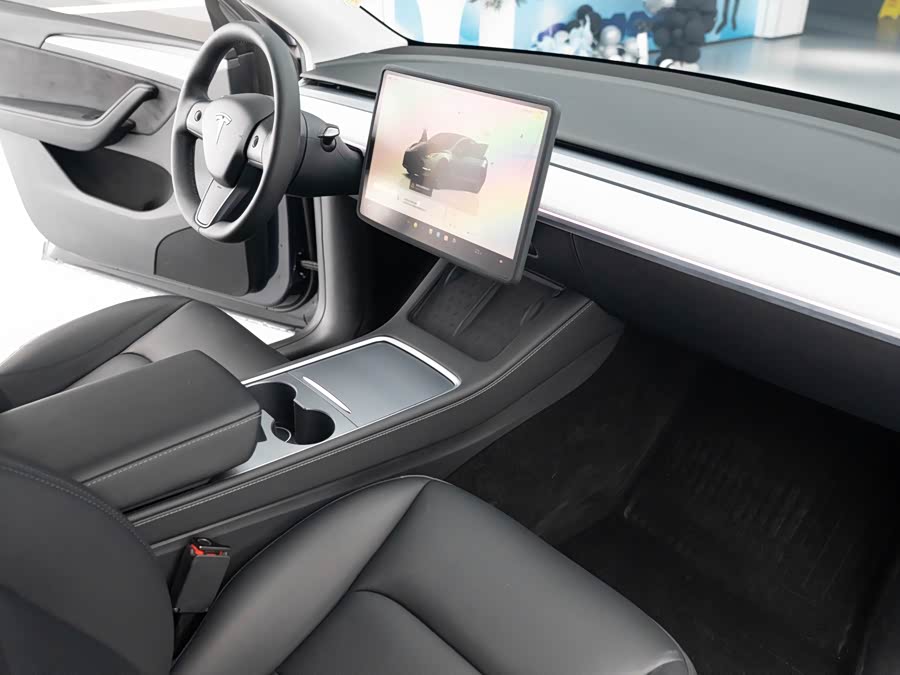 Tesla Model Y 2024 car image #9