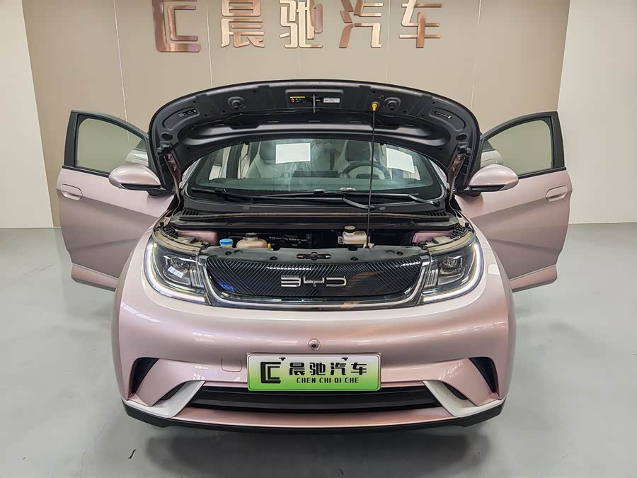 比亚迪 海豚 2022 汽车图片 #9