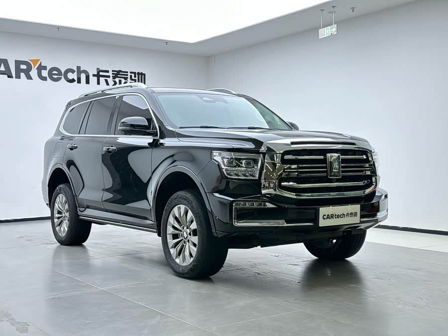 Tank 500 New Energy 2025 immagine di auto #9