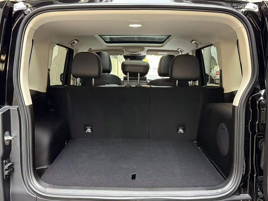 Haval Raptor New Energy 2025 car image #9