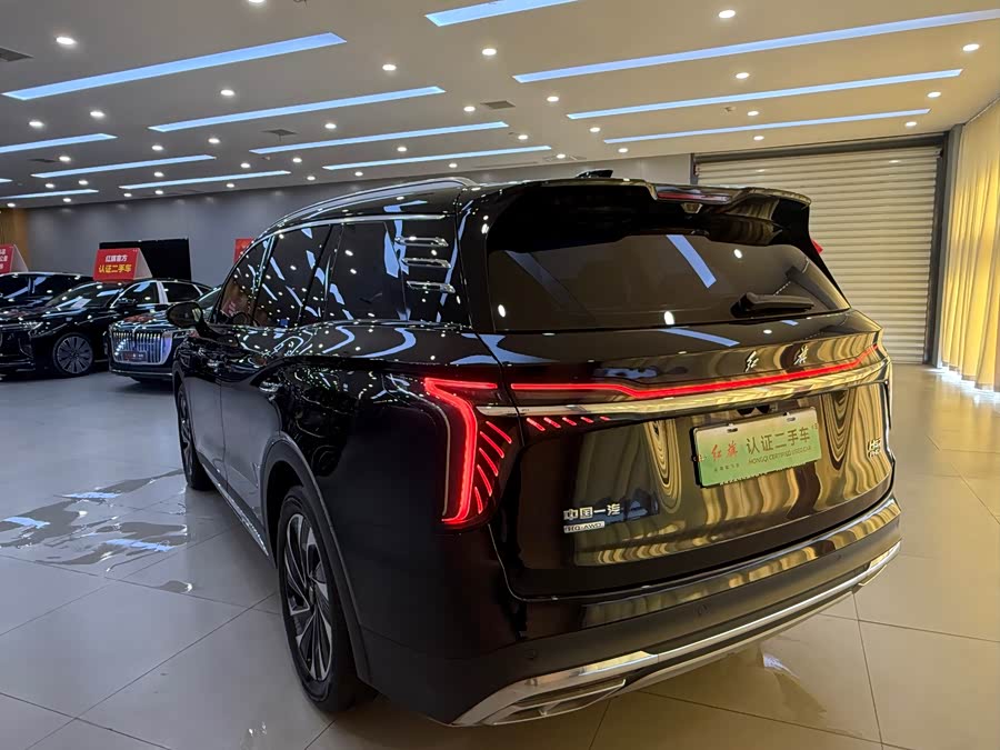 HongQi HS7 PHEV 2024 car image #9