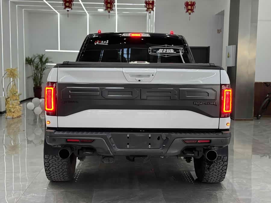 Ford F-150 Raptor 2018 car image #9