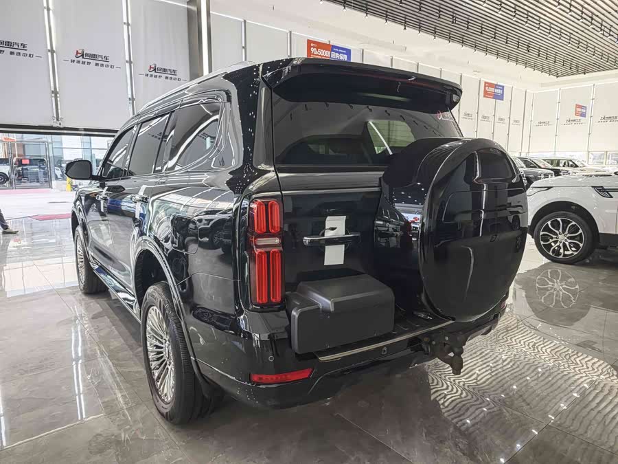 Tank 500 New Energy 2023 car image #9