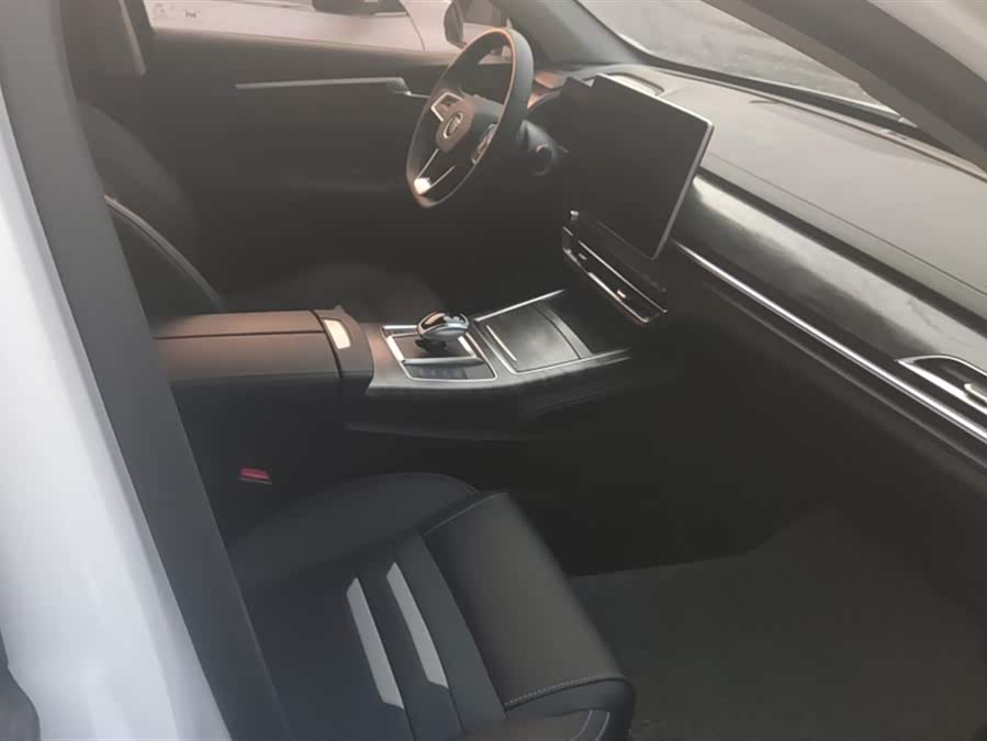 BYD Qin Pro New Energy 2019 car image #9