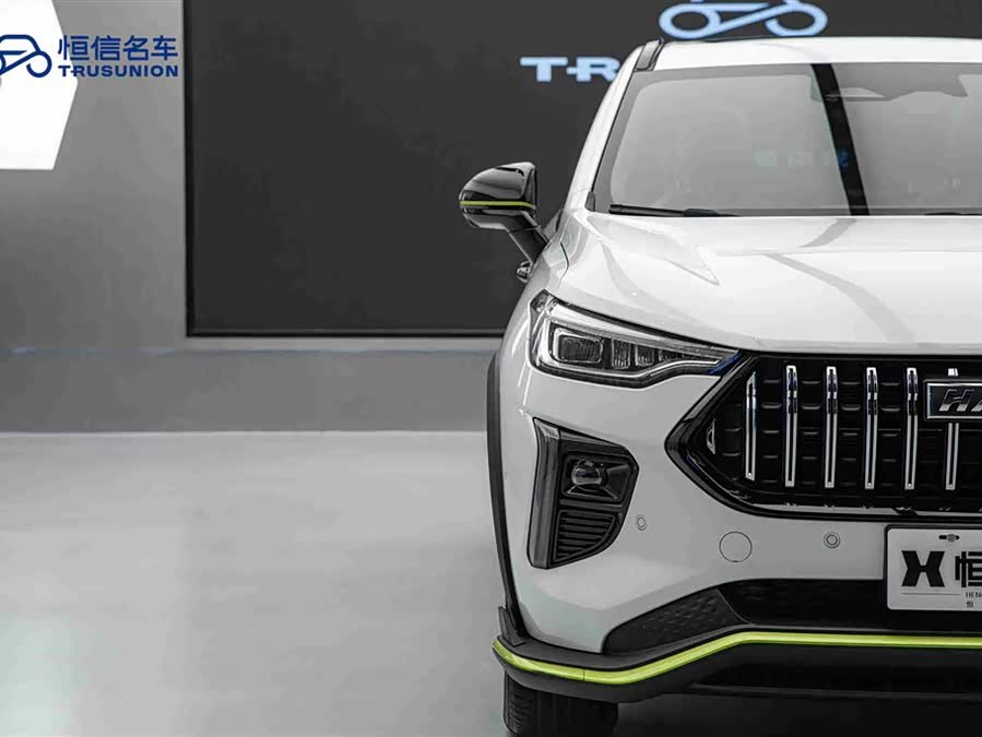 Haval Rabbit 2021 car image #9