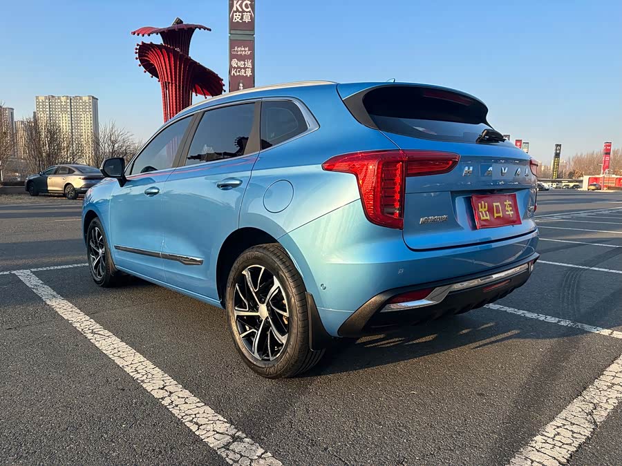 Haval Jolion 2021 immagine di auto #9