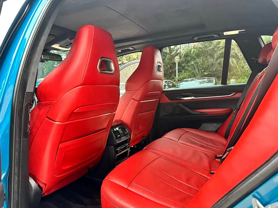 BMW X5 M 2017 #9 BMW X5 M 2017 imagem de carro #9