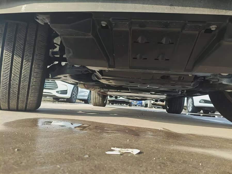 Tank 500 New Energy 2024 car image #9