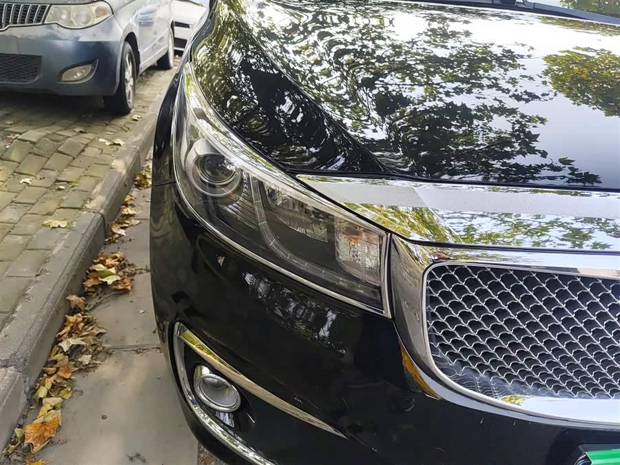 Kia Carnival (Imported) 2016 car image #9