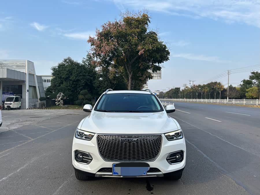 Haval H2s 2019 car image #9